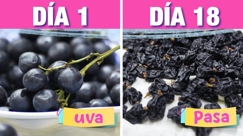 Cómo hacer pasas de uvas en casa Sudigastro
