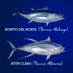Distinción entre bonito y atún