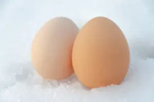 ¿Se pueden congelar huevos cocidos y pelados?